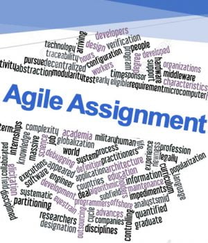 Agile Assignment W03 & Answers Agile-Assignment-03
