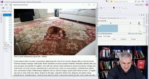 UWP 038 | Working with Adaptive Layout