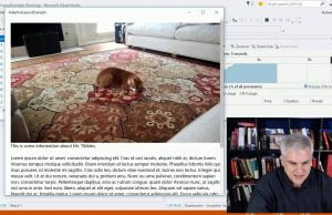 UWP 038 | Working with Adaptive Layout