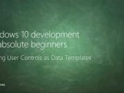UWP 042 | Utilizing User Controls as Data Templates